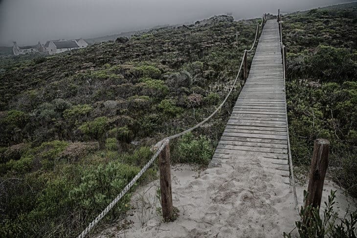 Top 10 Hikes on Oahu: From Easy to Expert