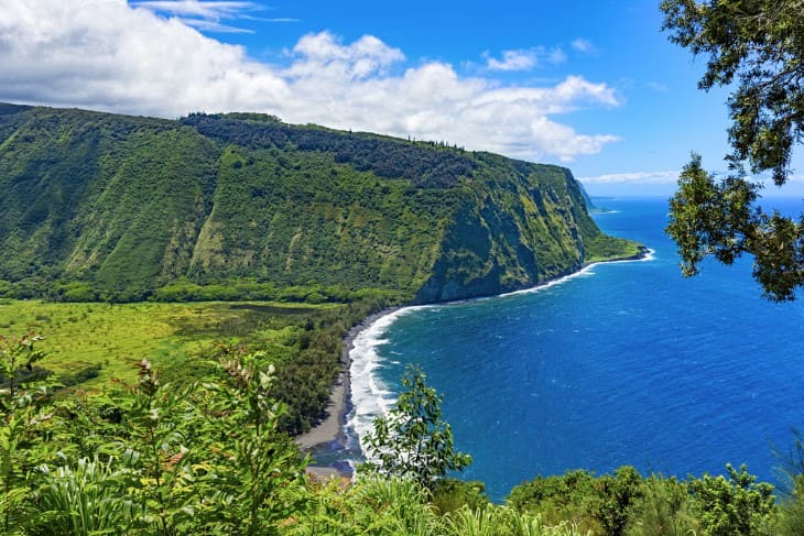 A Deep Dive into Hawaii's Blue Water Marine Life