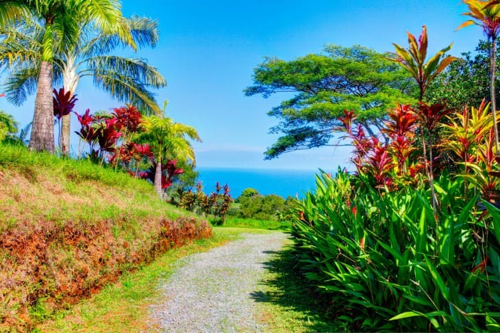 Exploring Hawaii's Most Beautiful Gardens and Arboretums