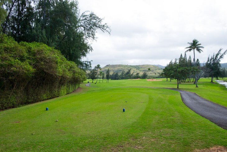 Golfing in Hawaii: Top Courses and Tips