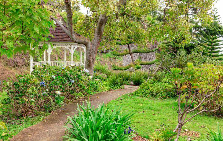 Exploring Hawaii's Botanical Gardens: A Floral Paradise