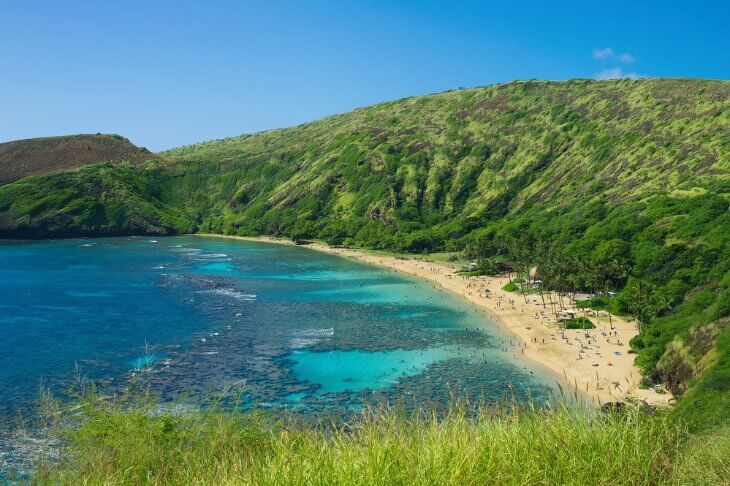 Hawaii's Coral Reefs and Snorkeling Tours