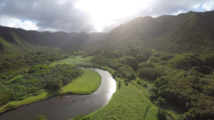 Hawaii's Rainforests: Exploring the Island's Green Heart