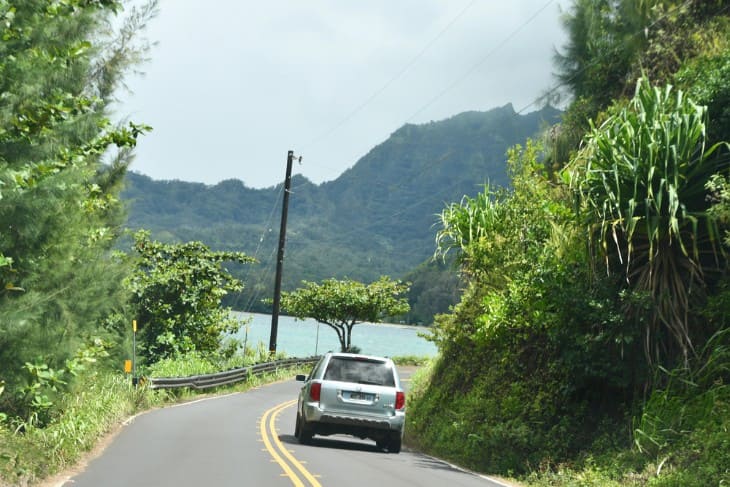 Is Driving in Maui Dangerous? Road Safety Tips