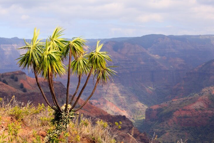 Top 10 Scenic Overlooks in Hawaii for Breathtaking Views