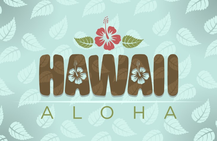 What is Hawaii Nickname?